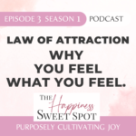 Laura Brunereau & Nadia Yazdani The Happiness Sweet Spot Podcast Season 1 Episode 3