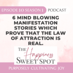 The Happiness Sweet Spot Podcast